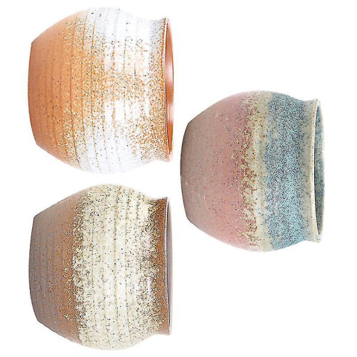 3pcs Ceramic Plant Pots 1