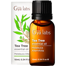 Gya Labs Australische Tea Tree etherische olie - 0,34 Fl Oz - voor haarhuidverspreider Aromatherapie en doe-het-kaarsengeur