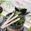 19Pcs Succulent Plant Transplanting Tool Set, ABS, Blue/Pink 3