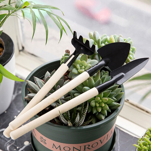 19Pcs Succulent Plant Transplanting Tool Set, ABS, Blue/Pink 2