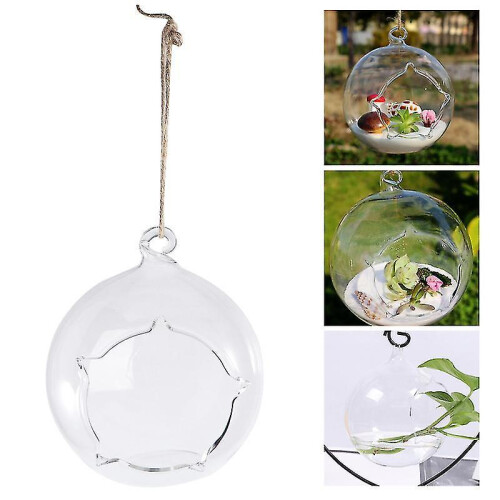 1pcs Transparent Succulent Vase 1