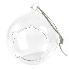 1pcs Transparent Succulent Vase