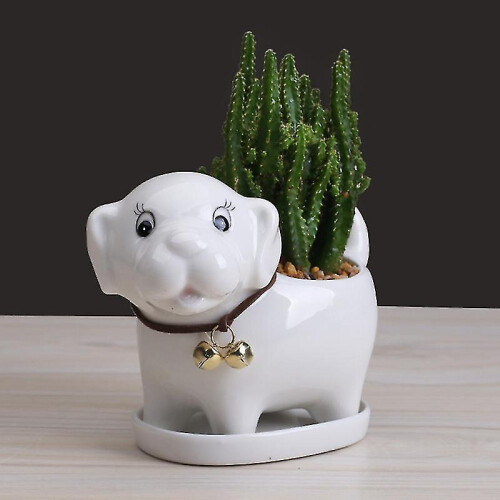 1pcs Dog Shape Flower Pot for Office 2