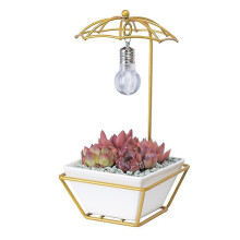 The New 1pcs Flower Pot for Home