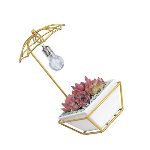 The New 1pcs Flower Pot for Home 2