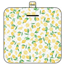Extra Large Family Portable Picnic Blanket - Foldable Waterproof Sandproof with Tote for Camping Beach Travel Hiking 200x200cm Color 8