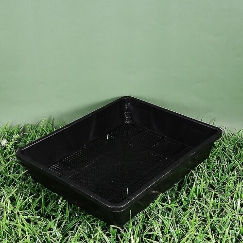 2pcs Growing Devices 2