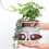 The New 1pcs Special Wall Hanging Flower Pot 13