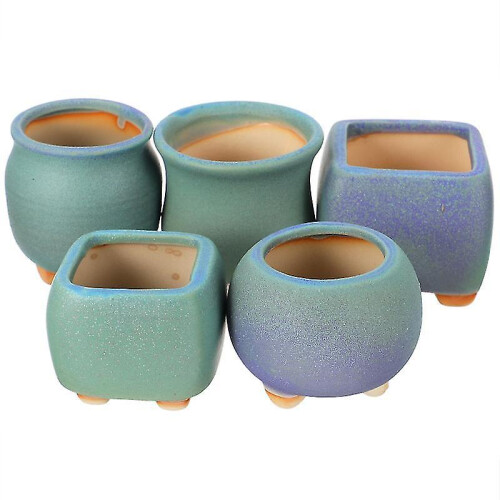 5pcs Green Plants Pot 1