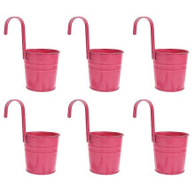 6pcs Iron Hanging Flower Pot