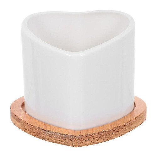 1pcs Planter with Saucer