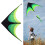 1.6m Long Prairie Triangle Kite for Kids and 11