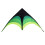 1.6m Long Prairie Triangle Kite for Kids and 10