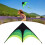 1.6m Long Prairie Triangle Kite for Kids and 12