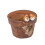 1pcs Creative Cartoon Succulent Pot 1