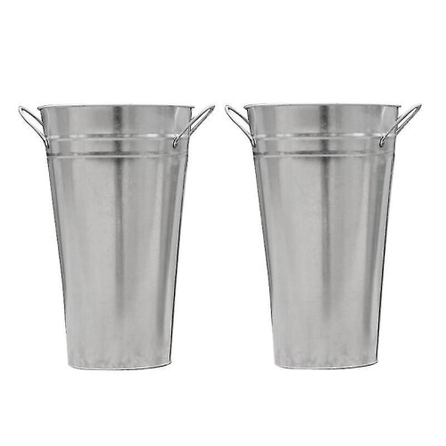 2pcs Galvanized Vases