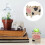 2pcs Household Plant Container 7