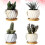 8pcs Ceramic Flower Pot 6
