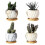 8pcs Ceramic Flower Pot 1