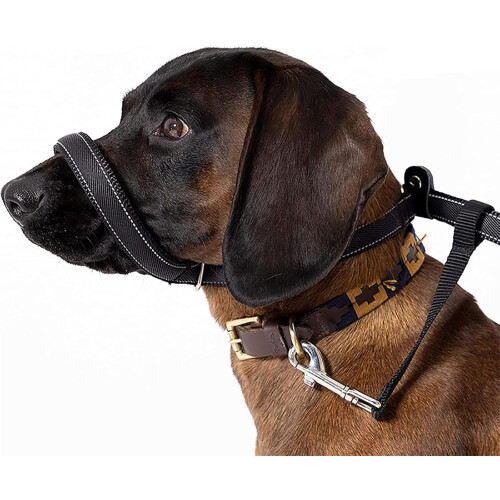 Dog Head Collar No-Pull Training Tool with Adjustable 2m Lead for Small Medium Large Dogs in Black Durable Design 2