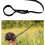 Dog Head Collar No-Pull Training Tool with Adjustable 2m Lead for Small Medium Large Dogs in Black Durable Design 4
