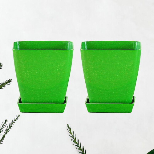2set Succulent Pots 1