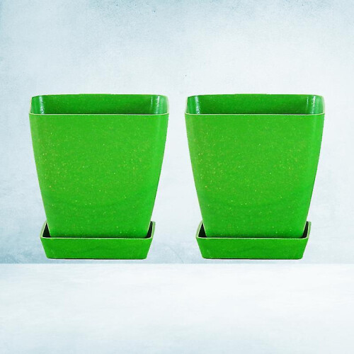 2set Succulent Pots 2