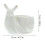 The New 1pcs Plants Planting Container 4