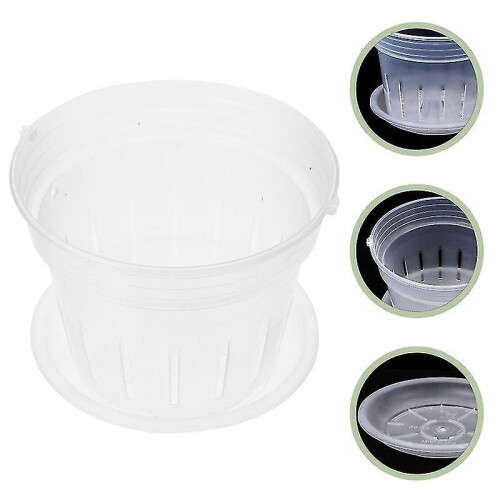 1set Plant Cups 2