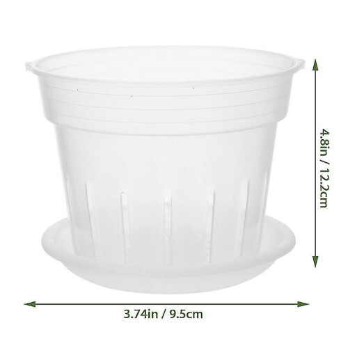 1set Plant Cups 1