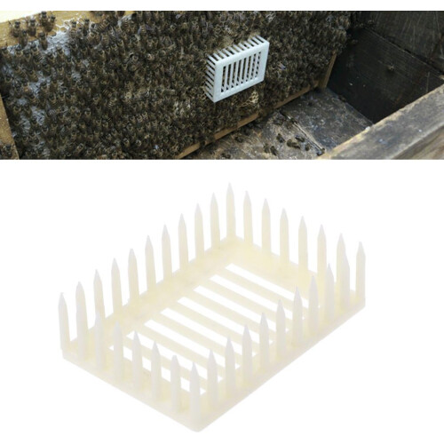 Beekeeping Square Shape Catcher Box Cell Cage for Queen Rearing Cup Kit, Durable Plastic, Compatible with Standard Hive Sizes 1