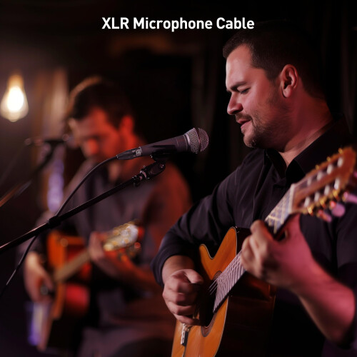Cable Matters 2-Pack Cabo XLR em Ângulo Direito, Cabo de Microfone 0,5 Pés 2