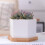 1pcs Bonsai Pots 2