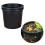 1pcs Plastic Plant Pots 2