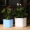2pcs Desktop Plants Holder Pot 11