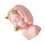 The New 1pcs Home Resin Tool 5