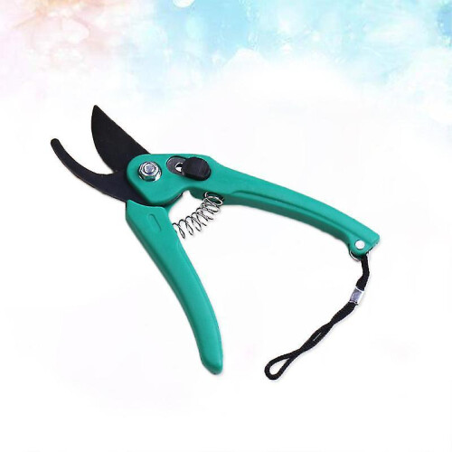 1pcs Black Tin Pruning Shear 1