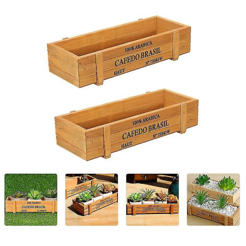 Synthetic Material Plant Holder for Plant 2