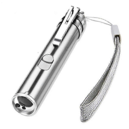 Usb Rechargeable Pet Toys Cat Training Laser Pointer with Led Flashlight 2