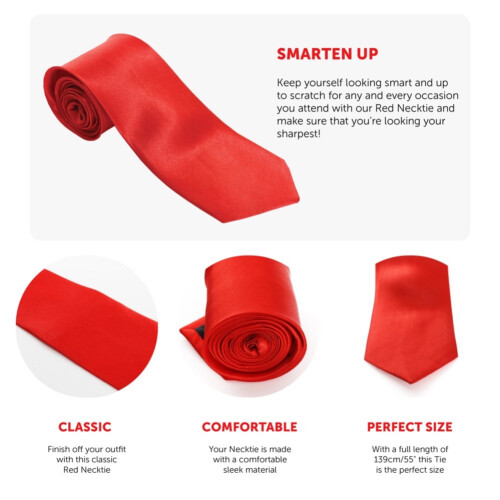 (24 Pack) Red Neck Tie 1