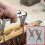 Bee Frame Holder, Stainless Steel Frame Grip Holder for Beekeeping, Durable Beekeeping Tool, Compatible with Standard Frames 2