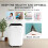 Belaco 20L/Day Dehumidifier 4