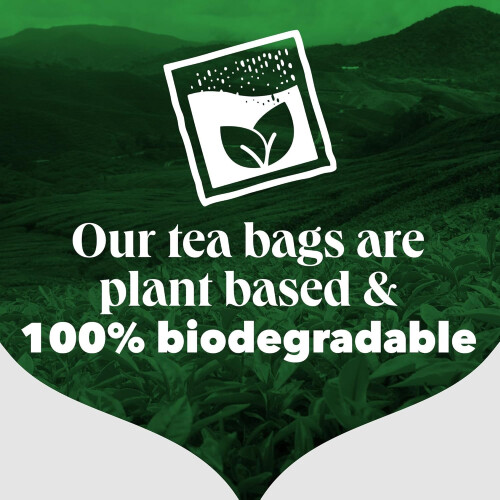 PG Tips Pg Tips Black Tea Bags Bulk Flavourful Fullbodied Perfect Flavour 1
