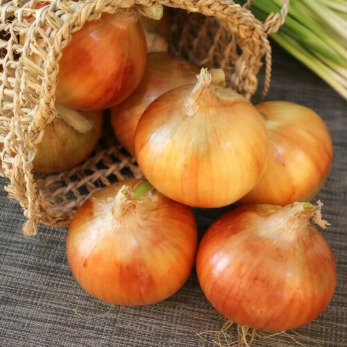 Winter Onion Sets Mix Approx 750g 150 Includes Varieties Like Red 2