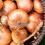 Winter Onion Sets Mix Approx 750g 150 Includes Varieties Like Red 4