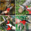 Ginarelo Cordless Mini Chainsaw Battery Small - Chainsaws Chain Saws 7