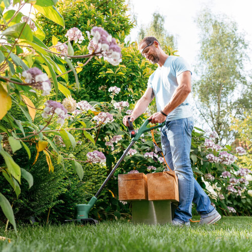 Bosch Bosch Electric Grass Trimmer Easygrasscut 26 280 Watt Cutting Diameter 1