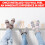 Radiator Foil Reflector Roll 10m Heat Reflective Insulation Sheet 7