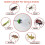 Foldable Spider Catcher Long Handled 83cm Remove Spiders Insects Bugs 4