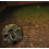 Nemasys Leatherjacket Killer Nematodes 100 Sqm 3